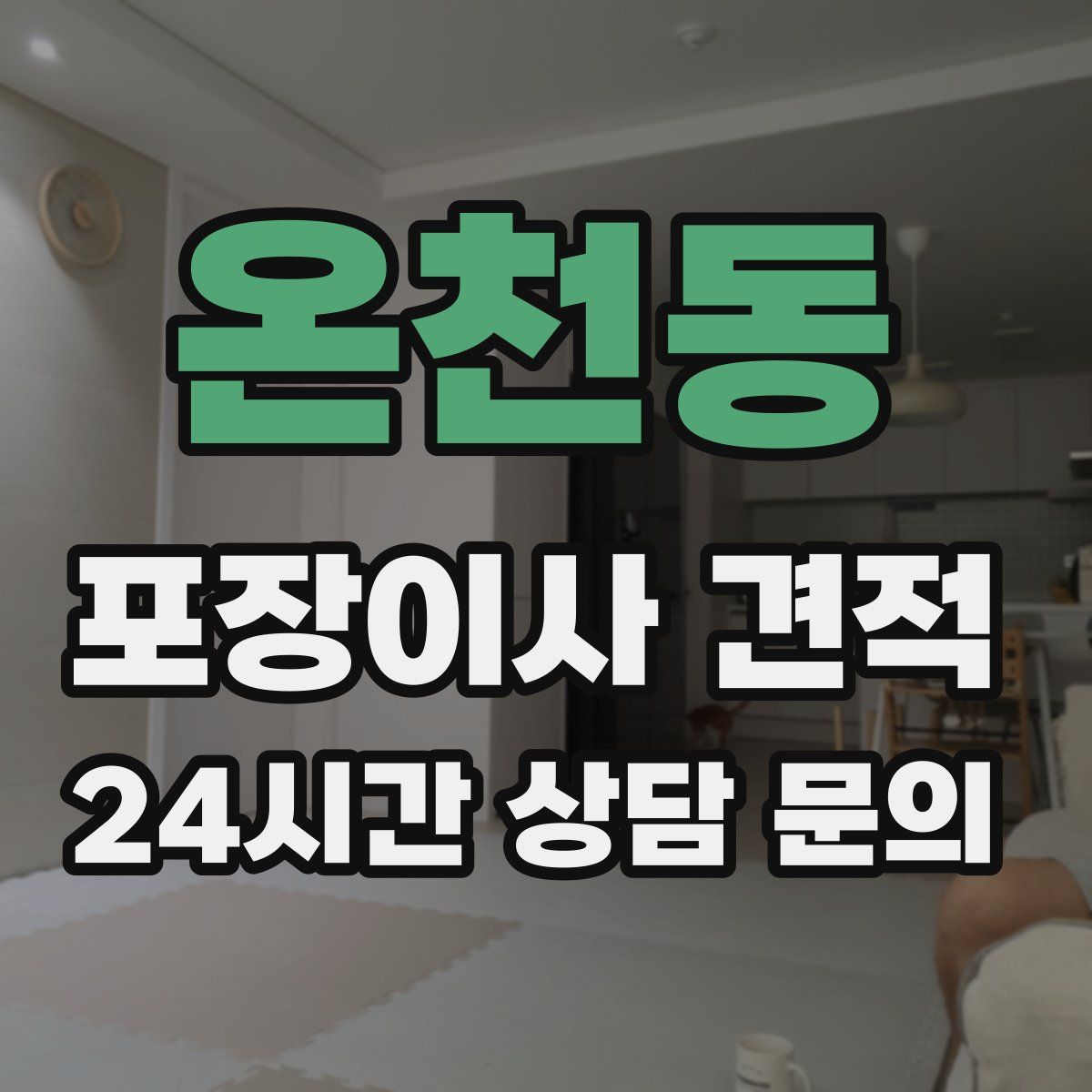 온천동 포장이사 견적