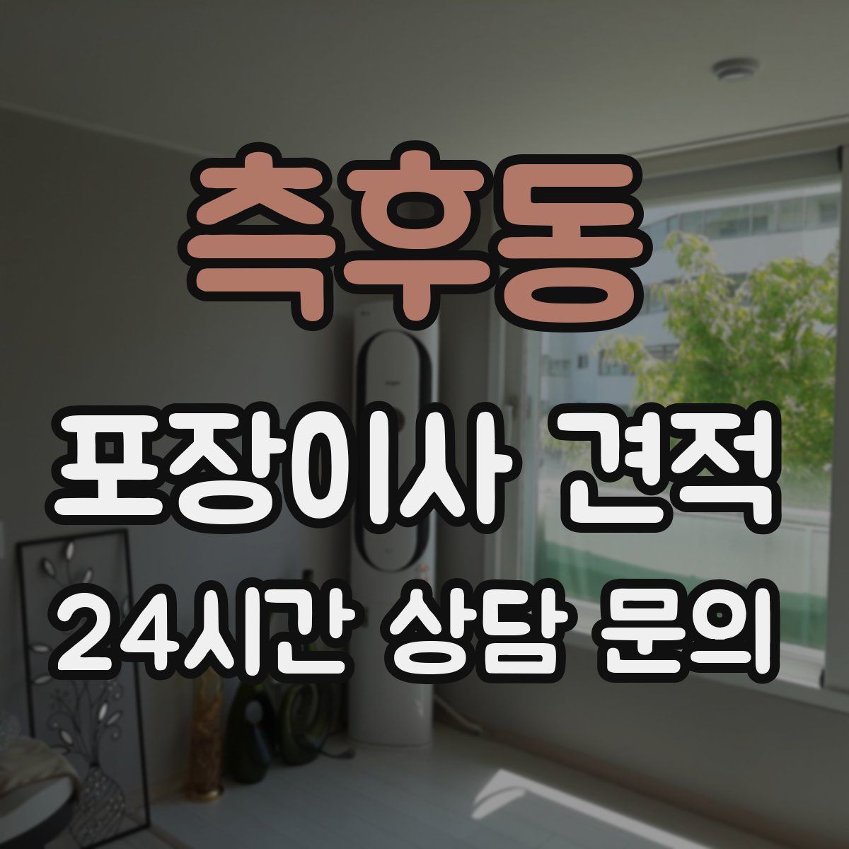측후동 포장이사 견적
