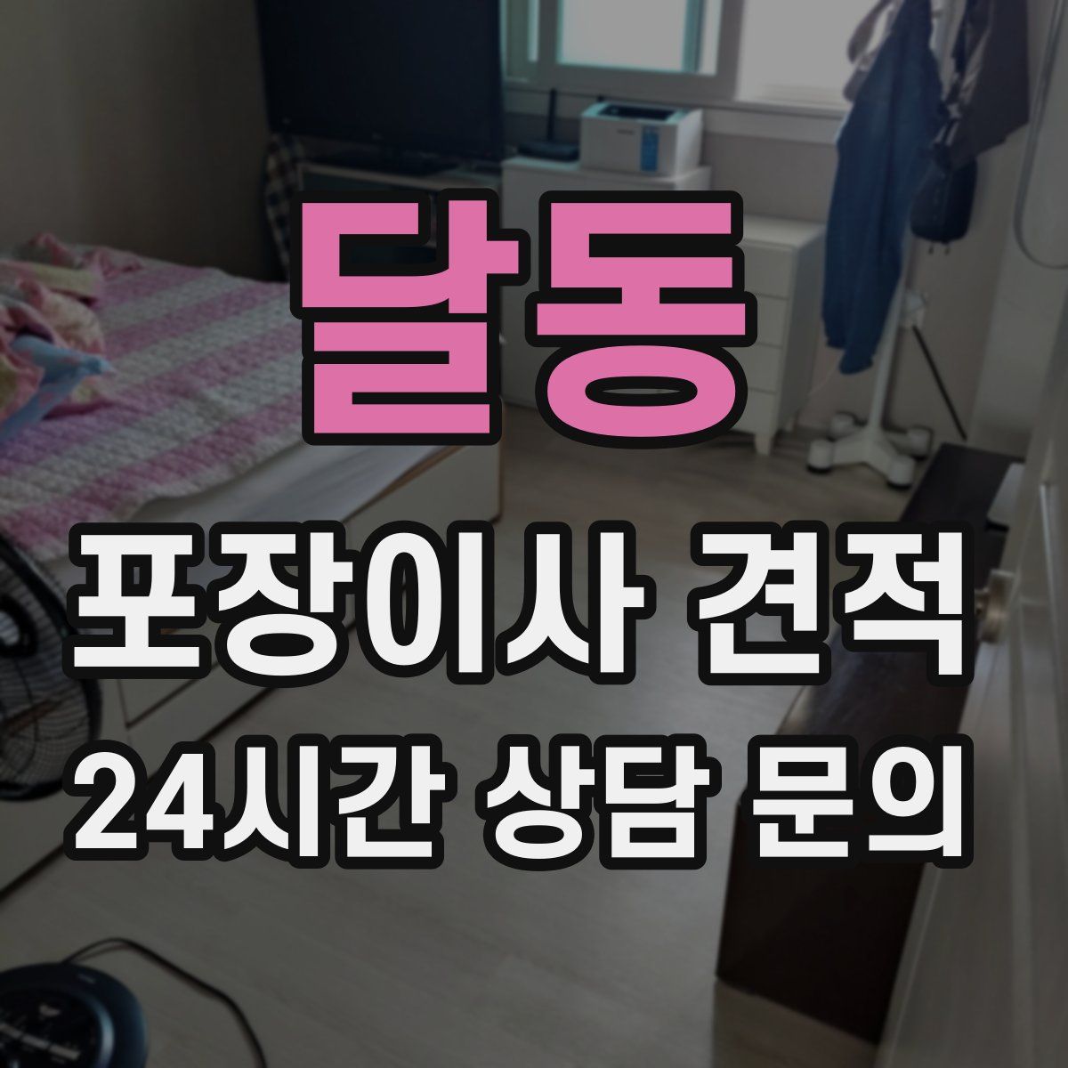 달동 포장이사 견적