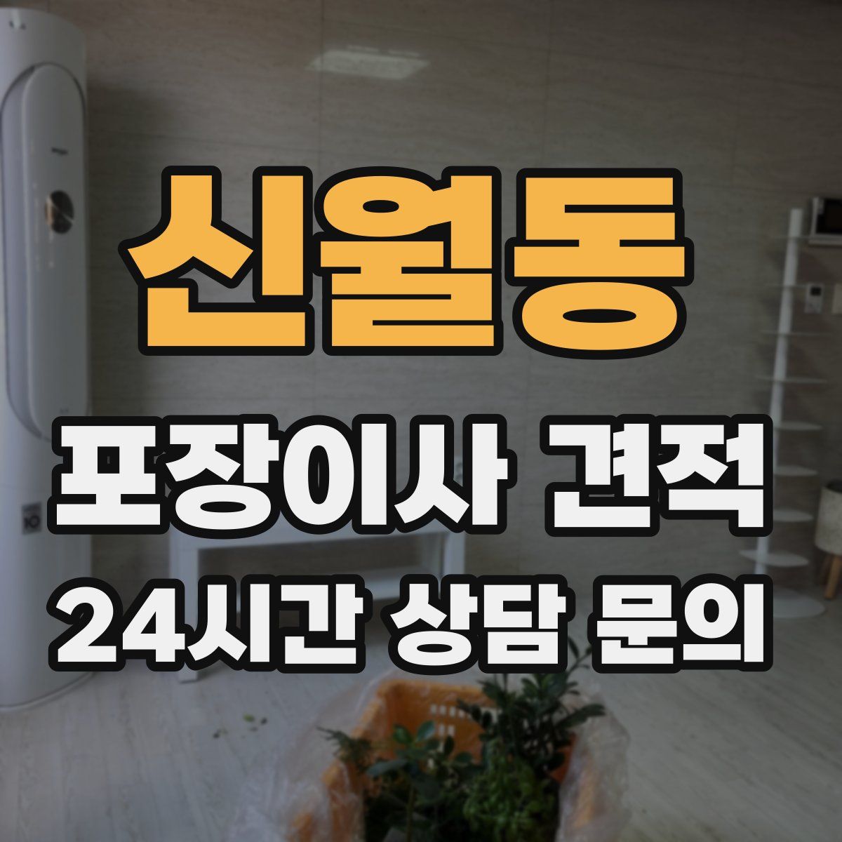 신월동 포장이사 견적