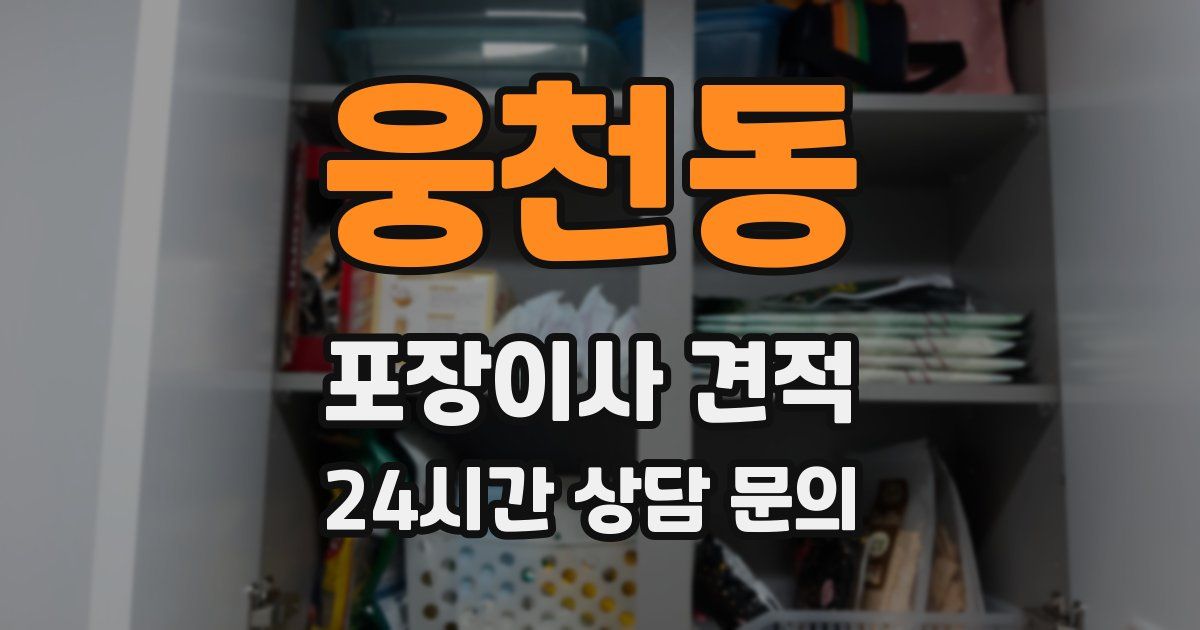 웅천동 포장이사 견적