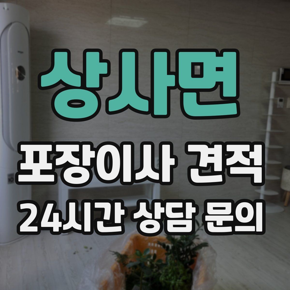 상사면 포장이사 견적 어항·대형 화분이 있을 때 견적 포인트
