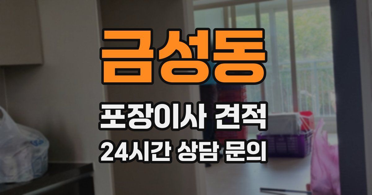 금성동 포장이사 견적