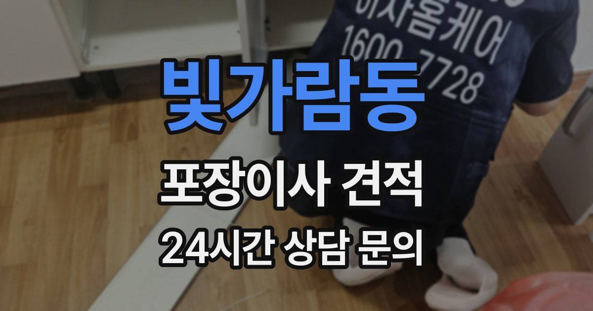 빛가람동 포장이사 견적