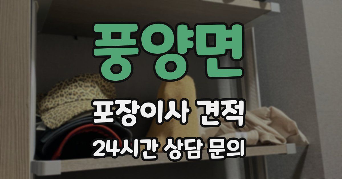 풍양면 포장이사 견적