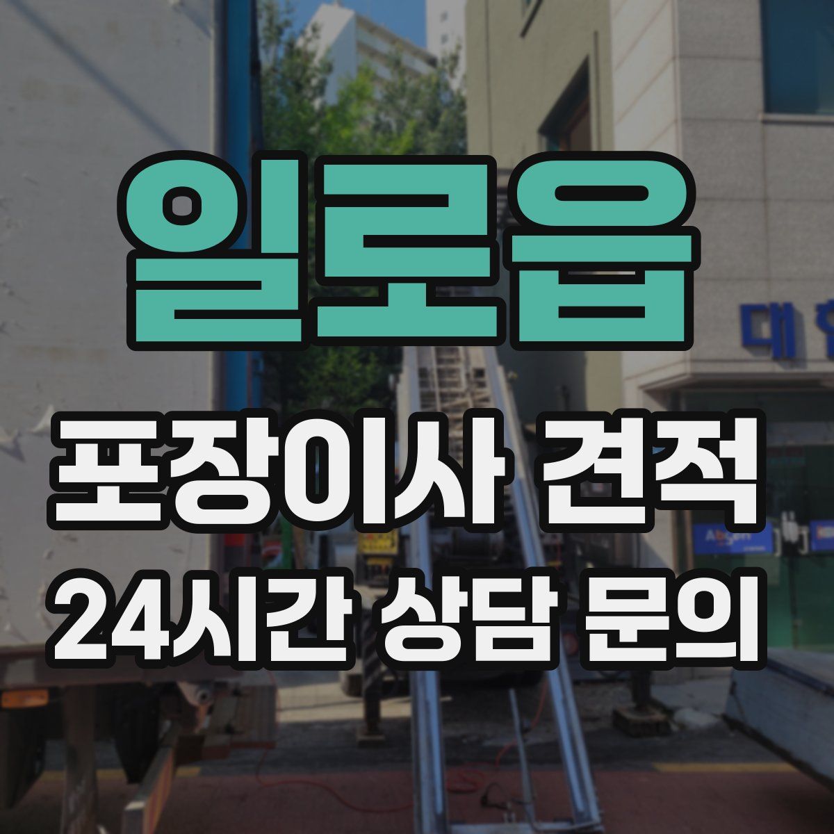 일로읍 포장이사 견적