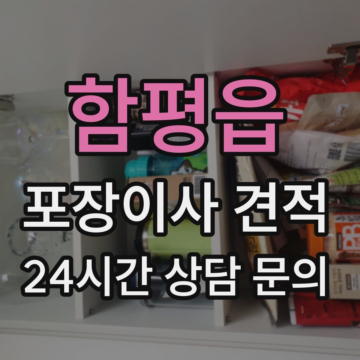 함평읍 포장이사 견적 반려동물 스트레스 줄이는 이사 당일 동선