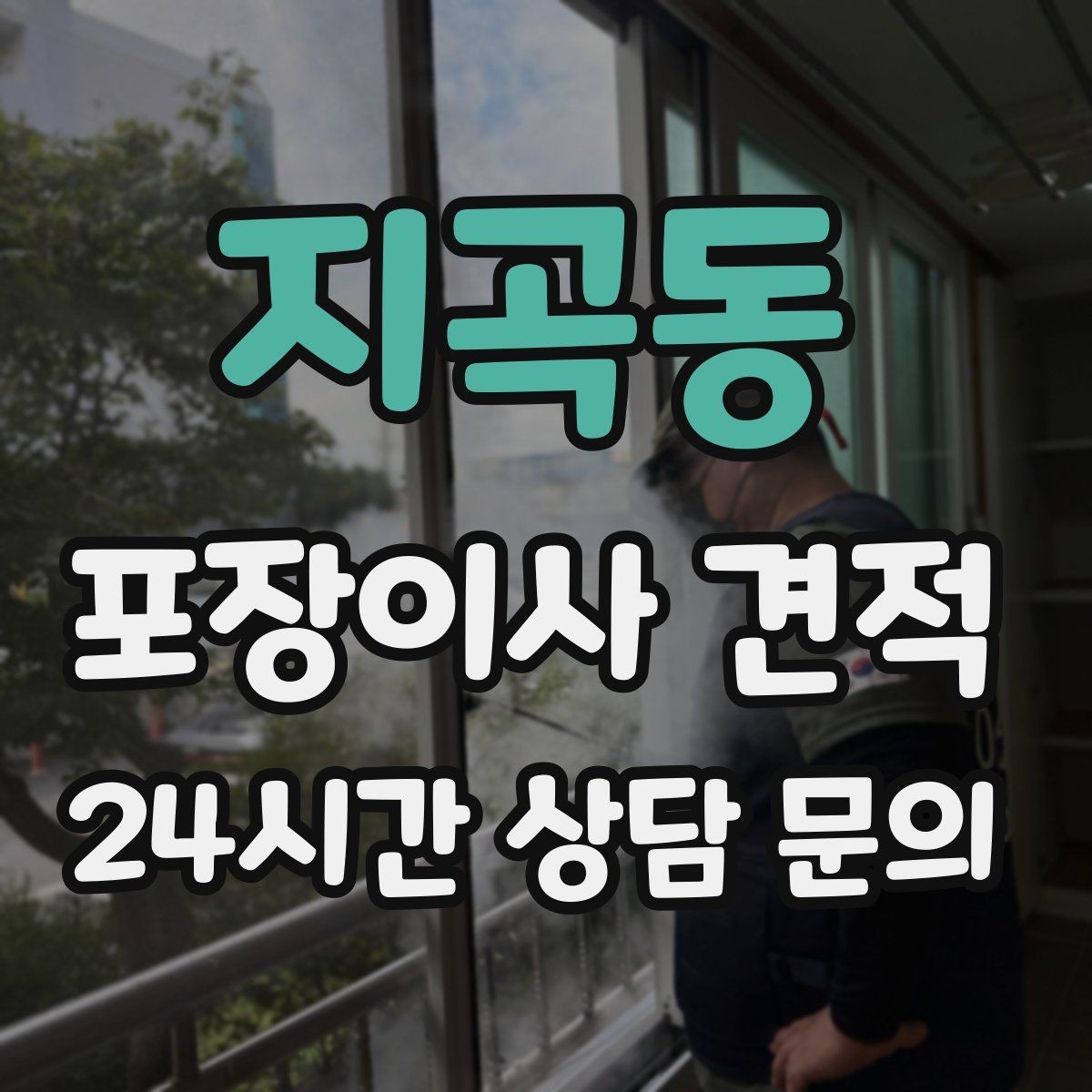 지곡동 포장이사 견적 비교 시 금액보다 먼저 볼 항목