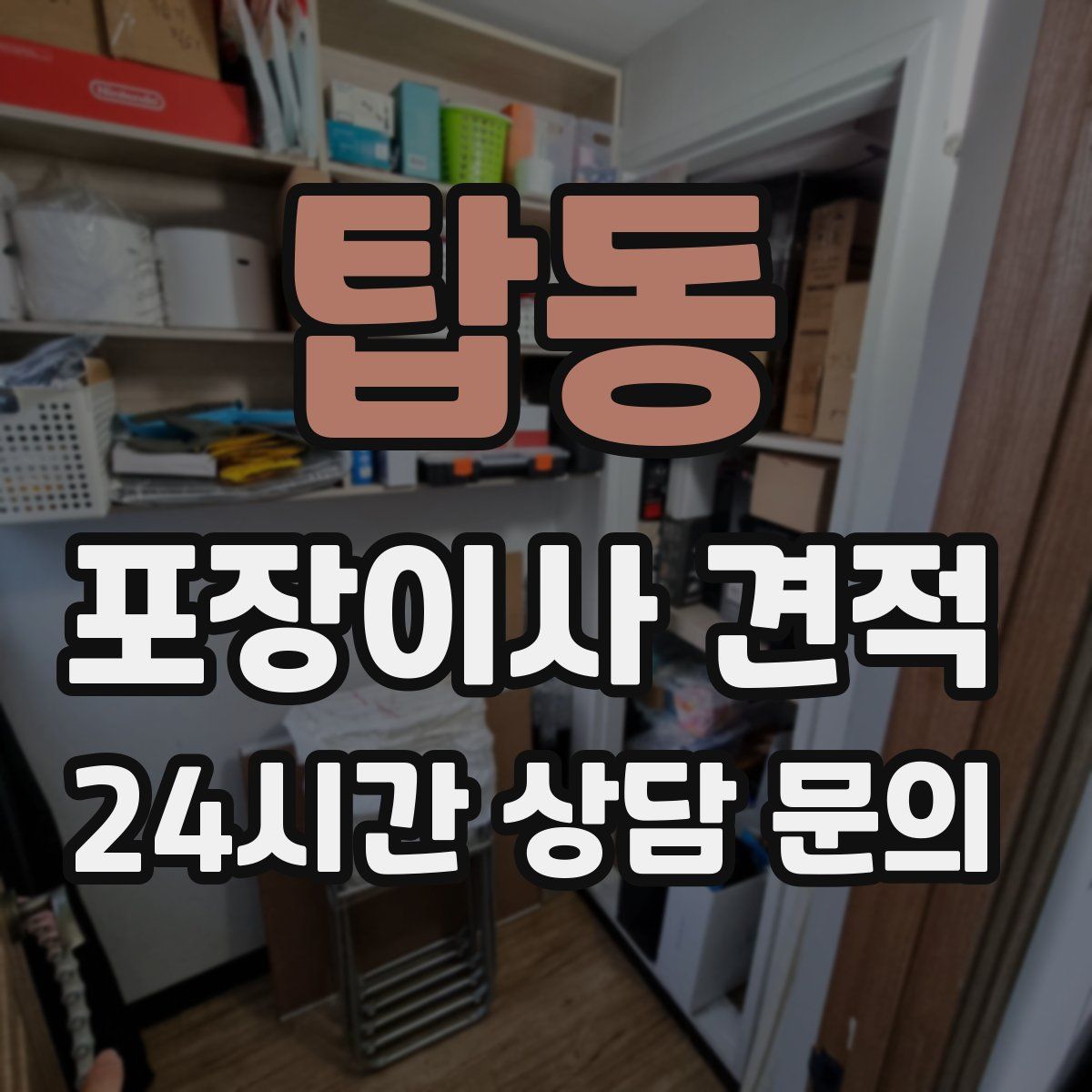 탑동 포장이사 견적
