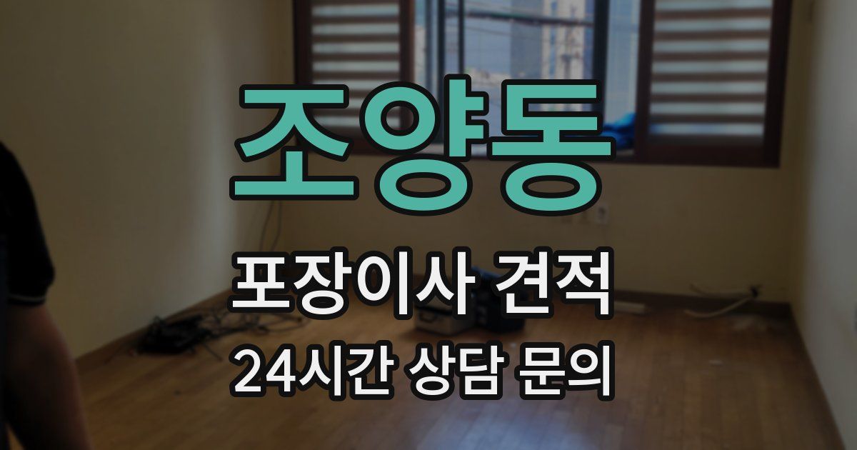 조양동 포장이사 견적