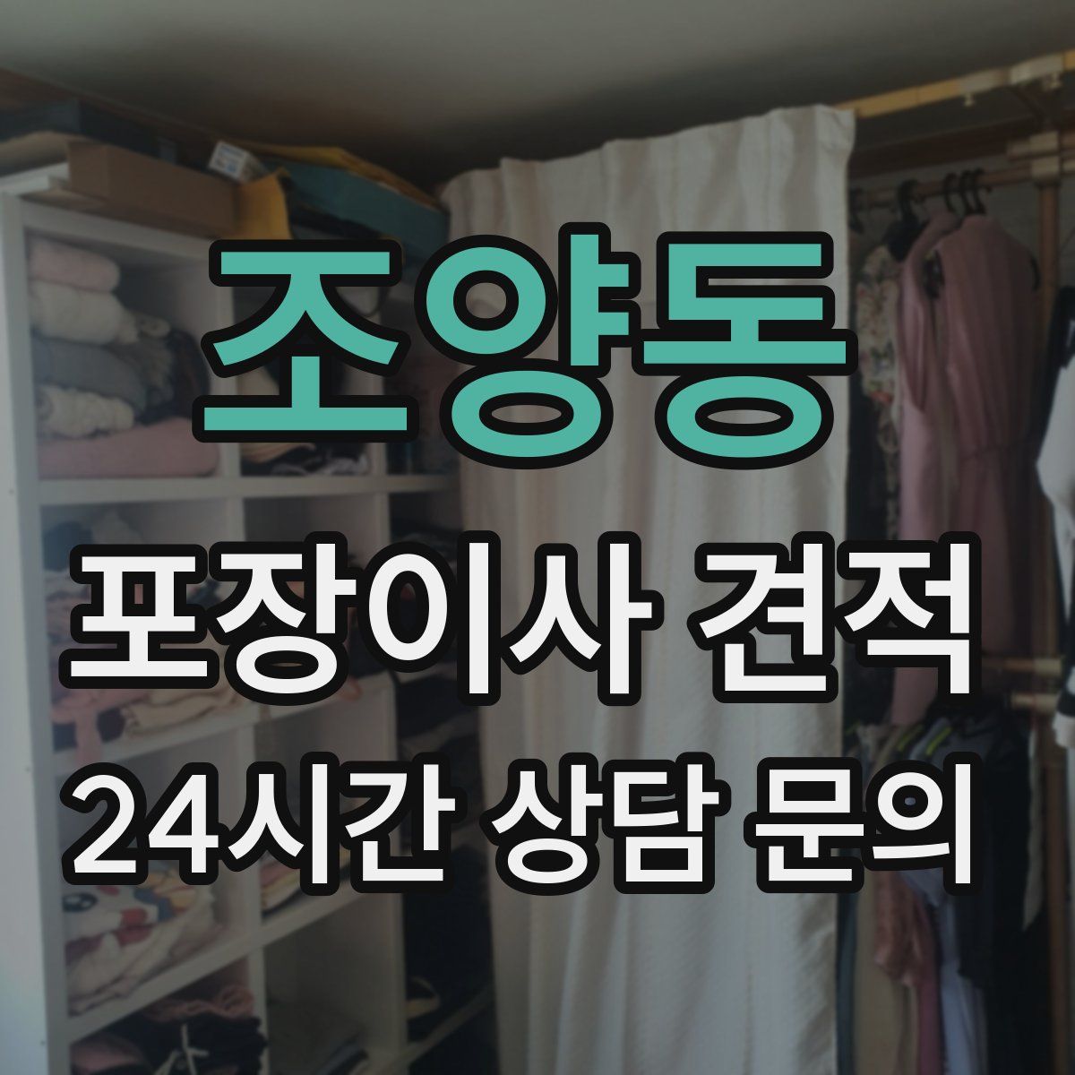 조양동 포장이사 견적