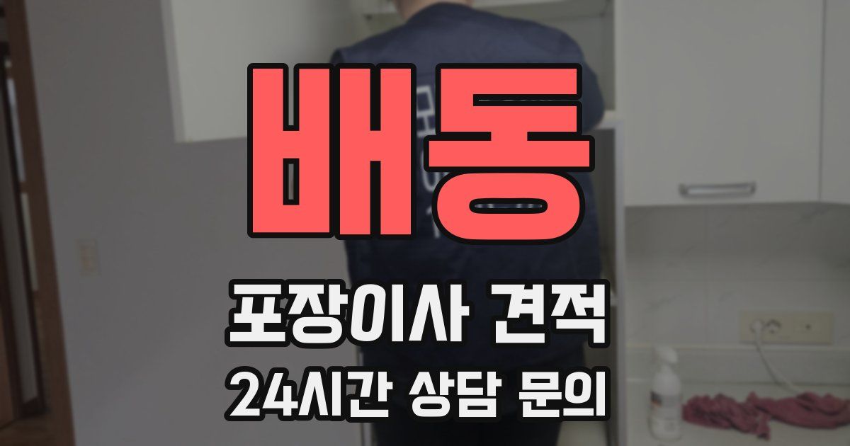 배동 포장이사 견적