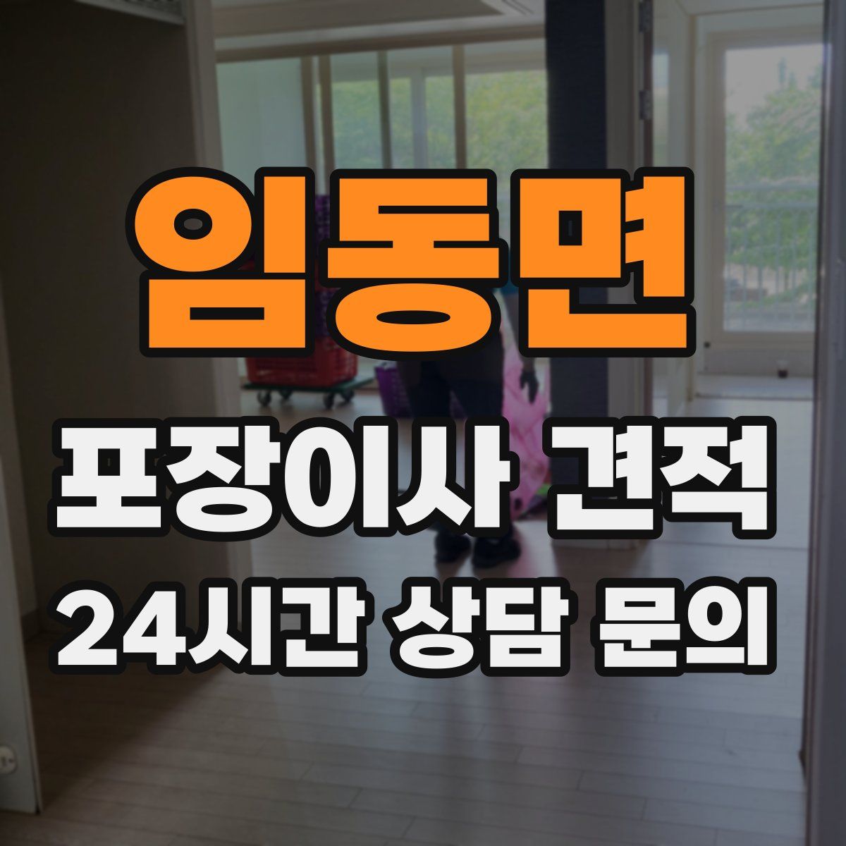 임동면 포장이사 견적