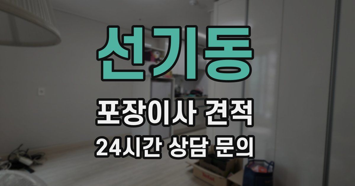 선기동 포장이사 견적