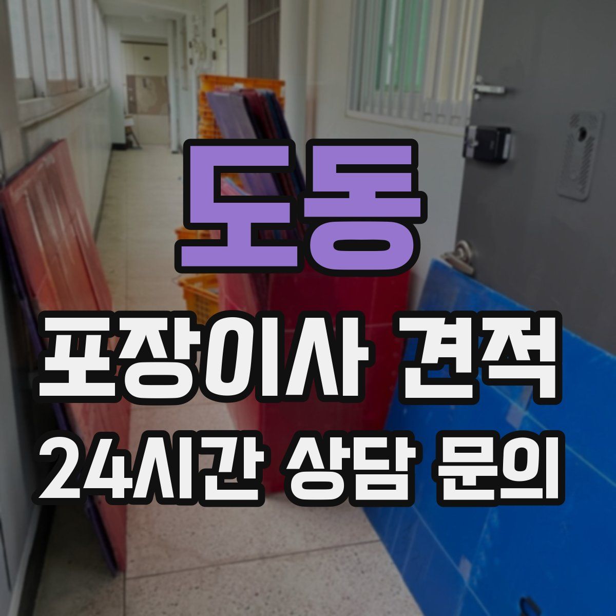 도동 포장이사 견적