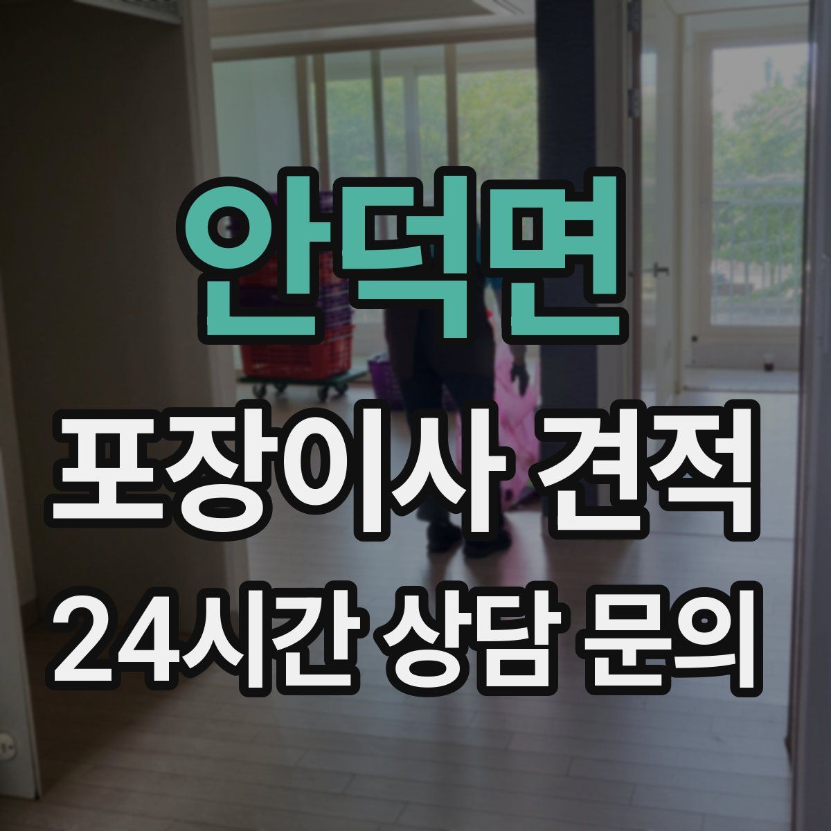 안덕면 포장이사 견적