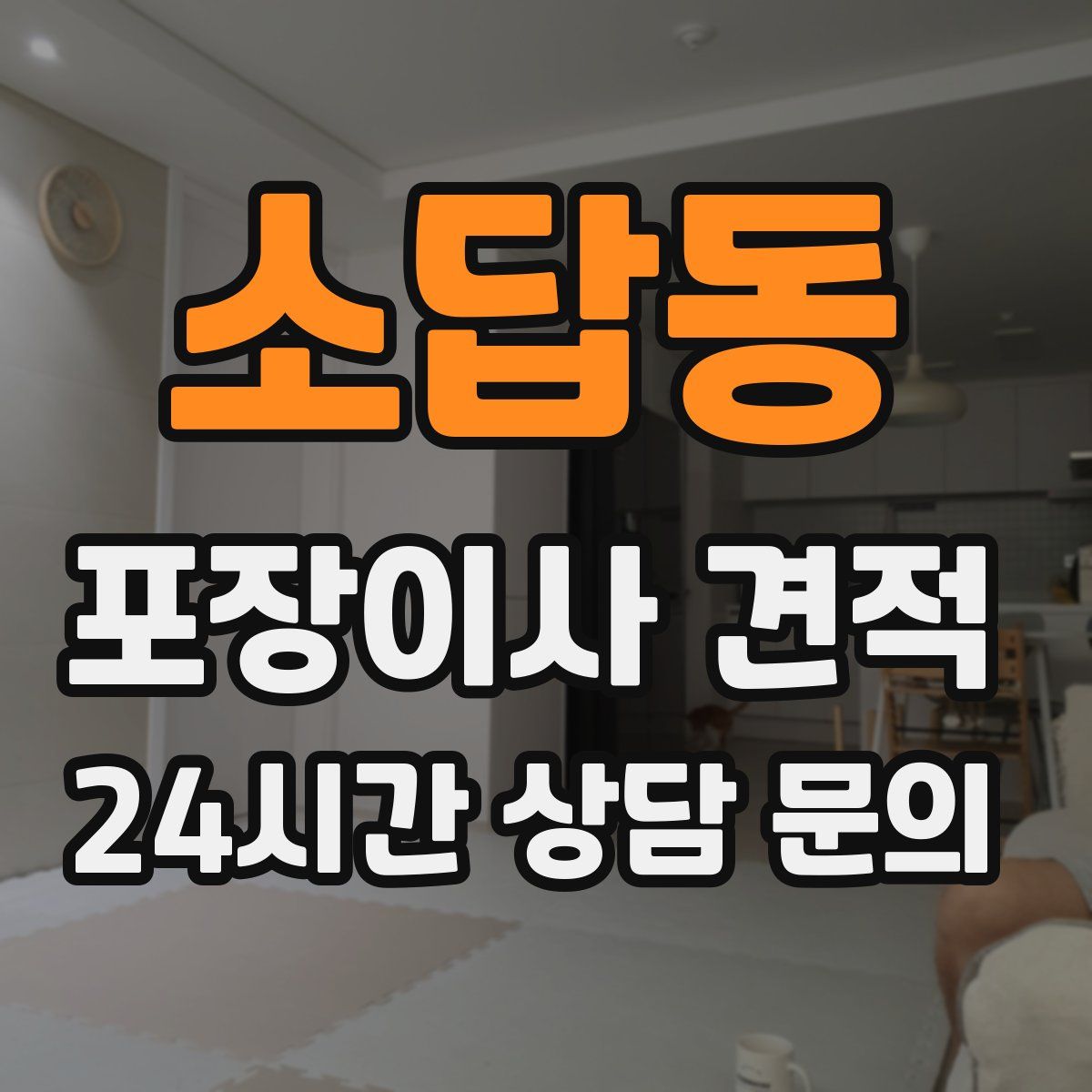 소답동 포장이사 견적