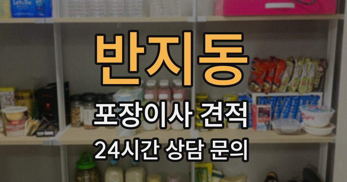 반지동 포장이사 견적