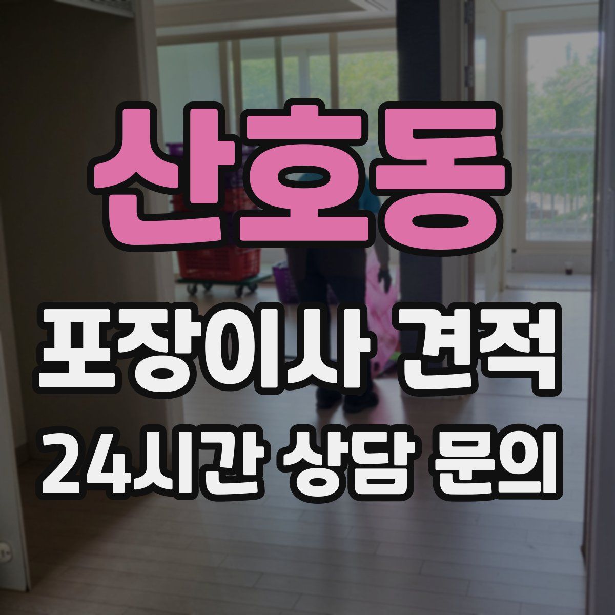 산호동 포장이사 견적