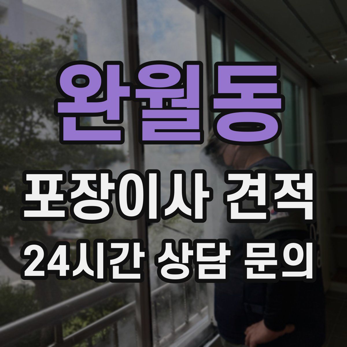 완월동 포장이사 견적