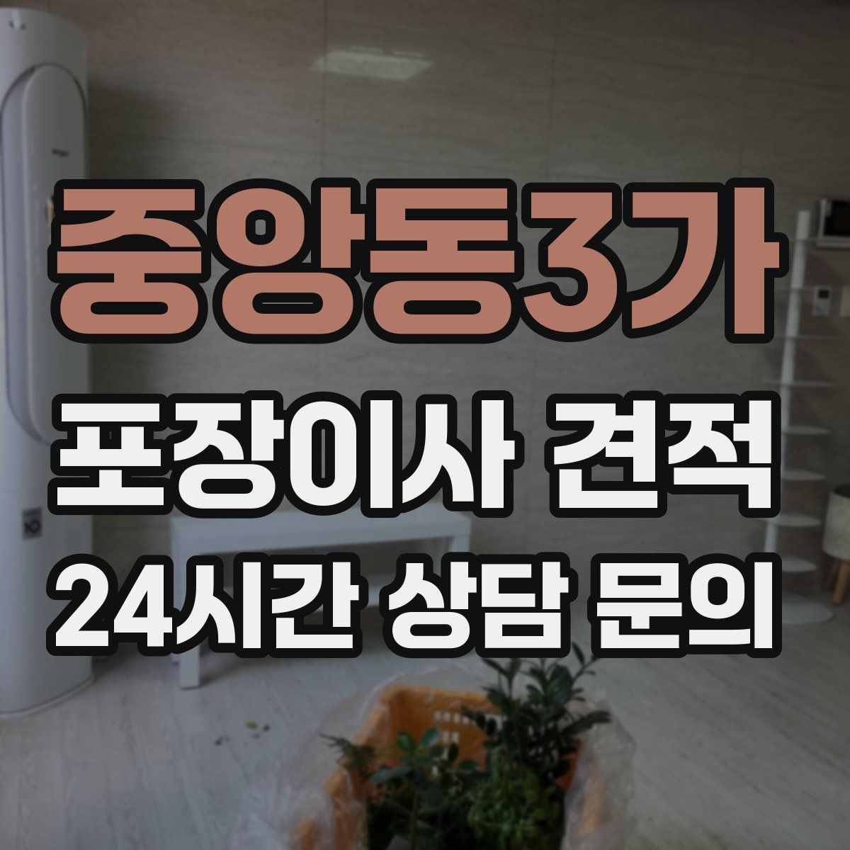 중앙동3가 포장이사 견적