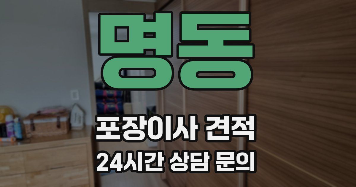 명동 포장이사 견적