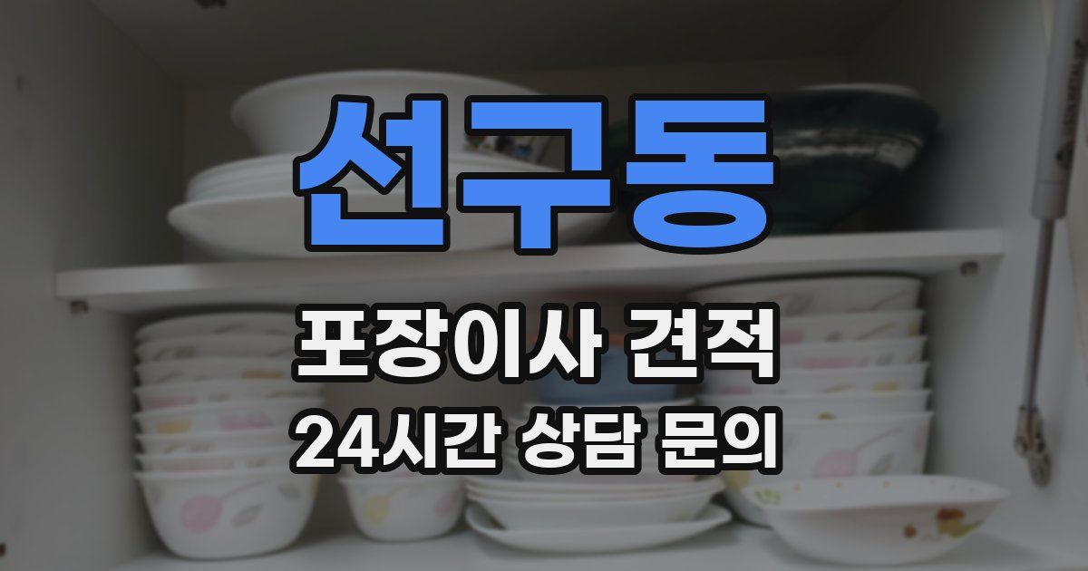 선구동 포장이사 견적