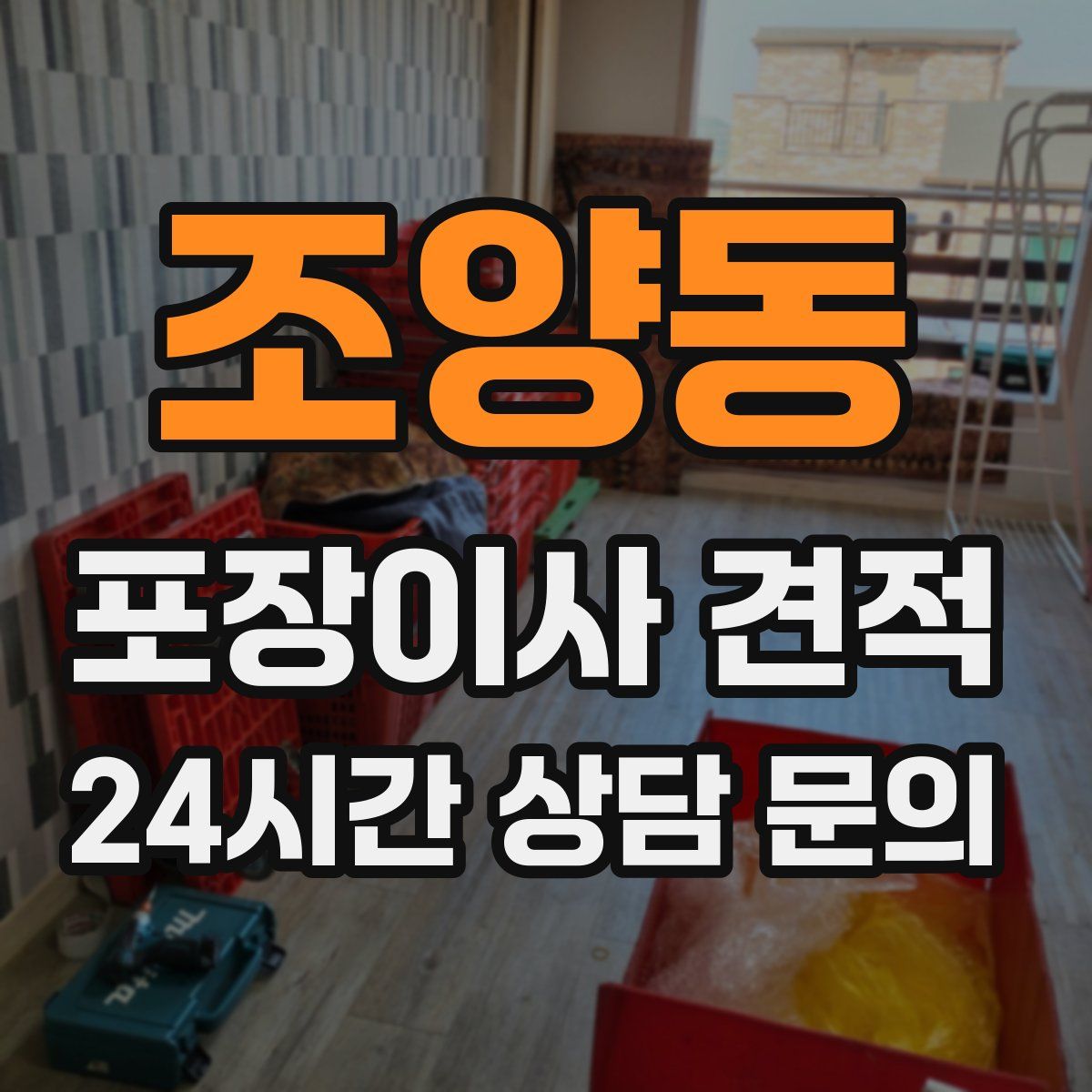 조양동 포장이사 견적