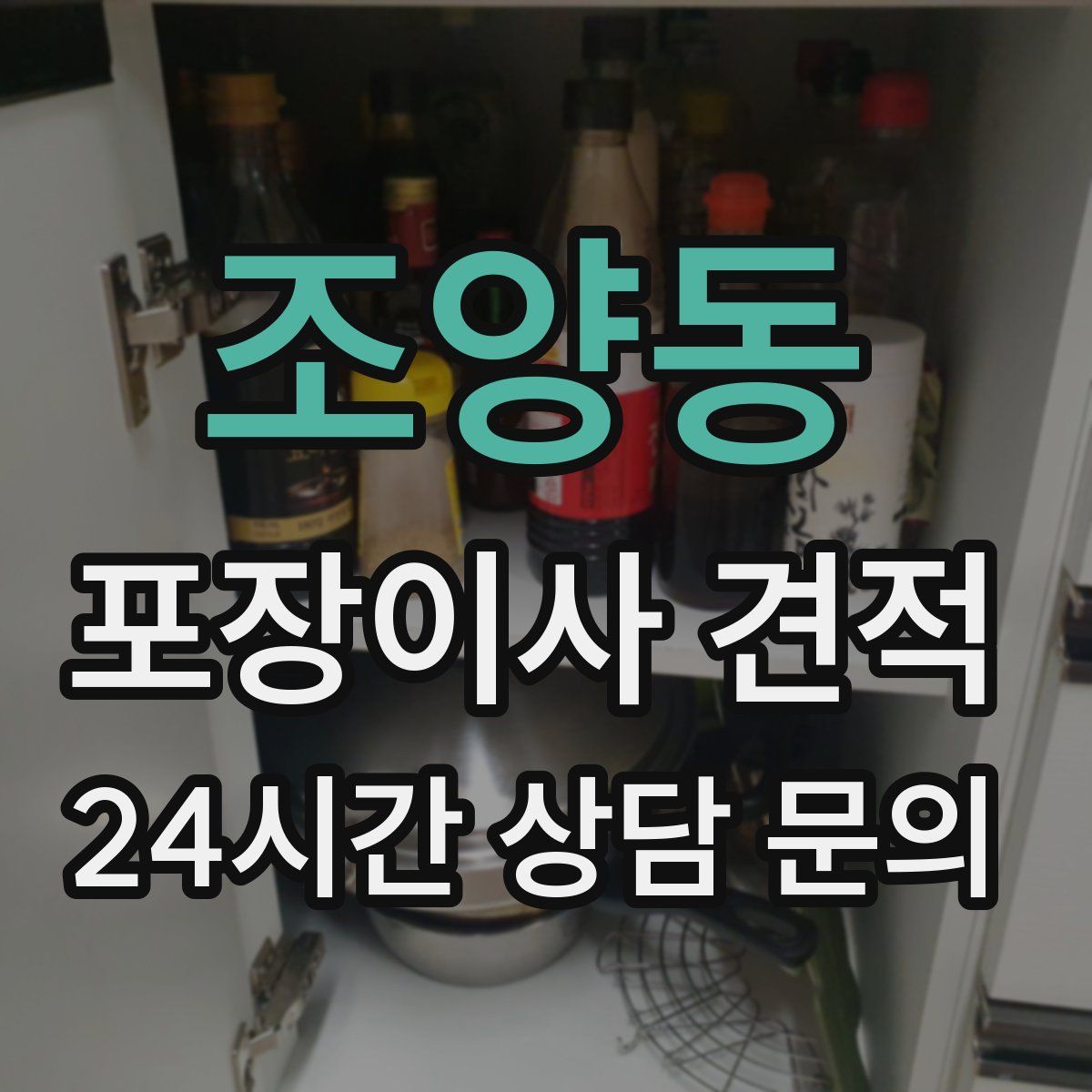 조양동 포장이사 견적