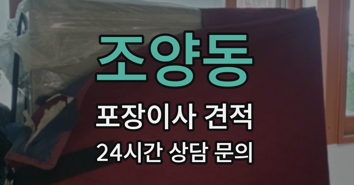조양동 포장이사 견적