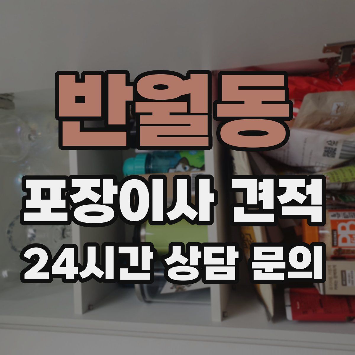 반월동 포장이사 견적