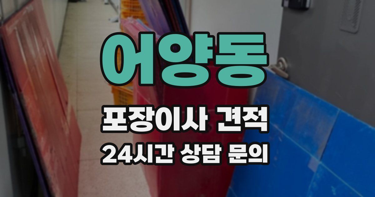 어양동 포장이사 견적