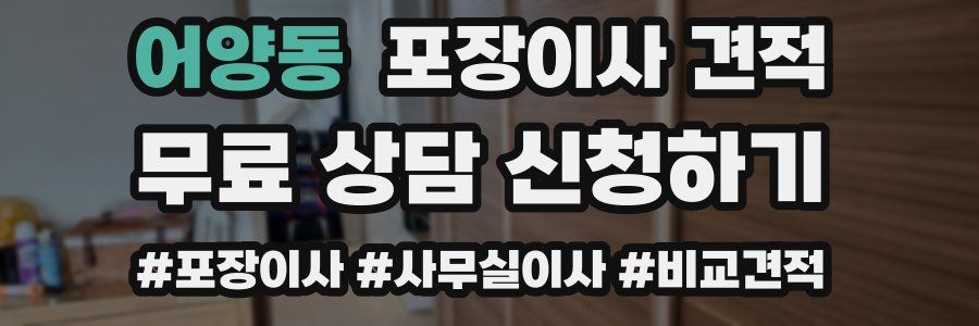 어양동 포장이사 견적