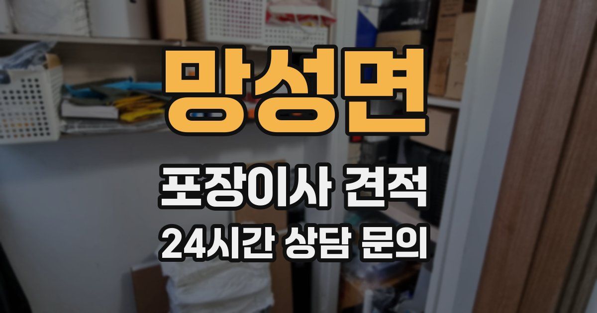 망성면 포장이사 견적