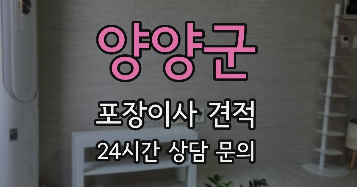 양양군 포장이사 견적