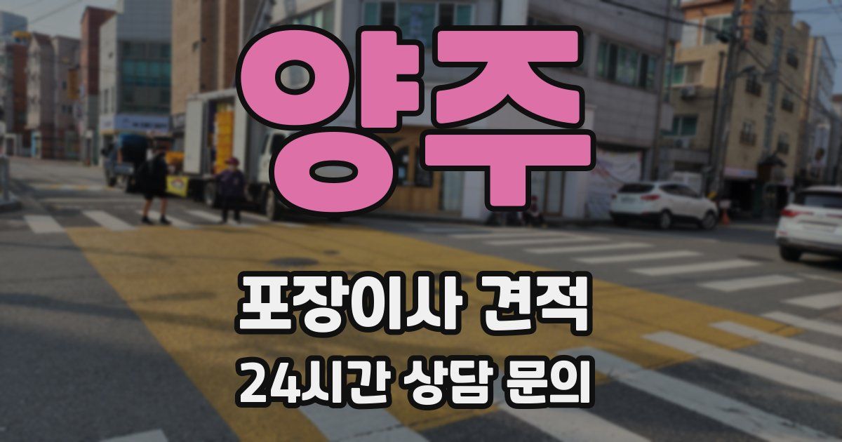 양주 포장이사 견적