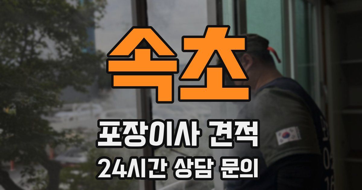 속초 포장이사 견적