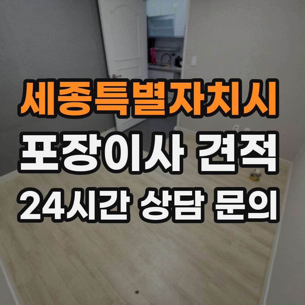 세종특별자치시 포장이사 견적