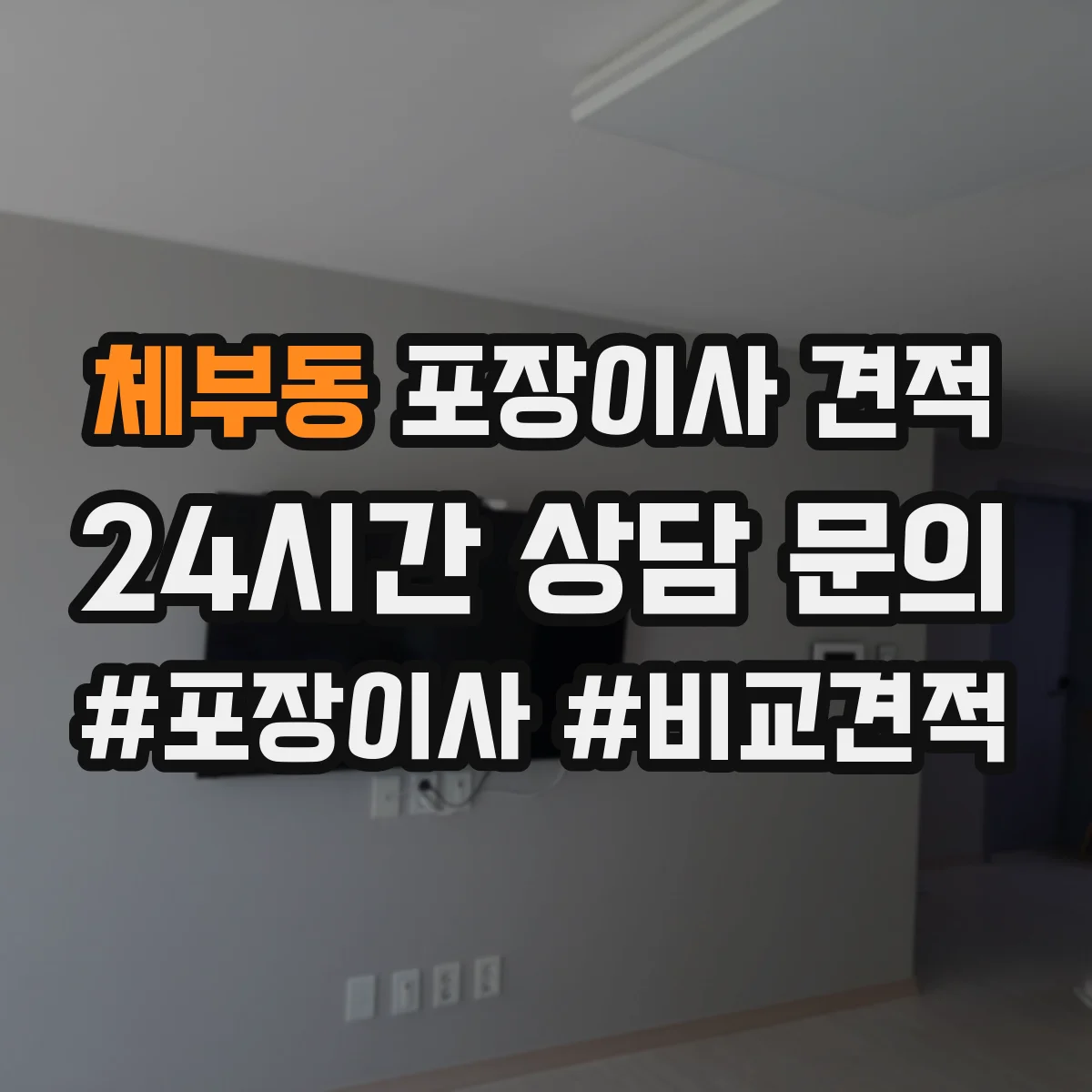 체부동 포장이사 견적