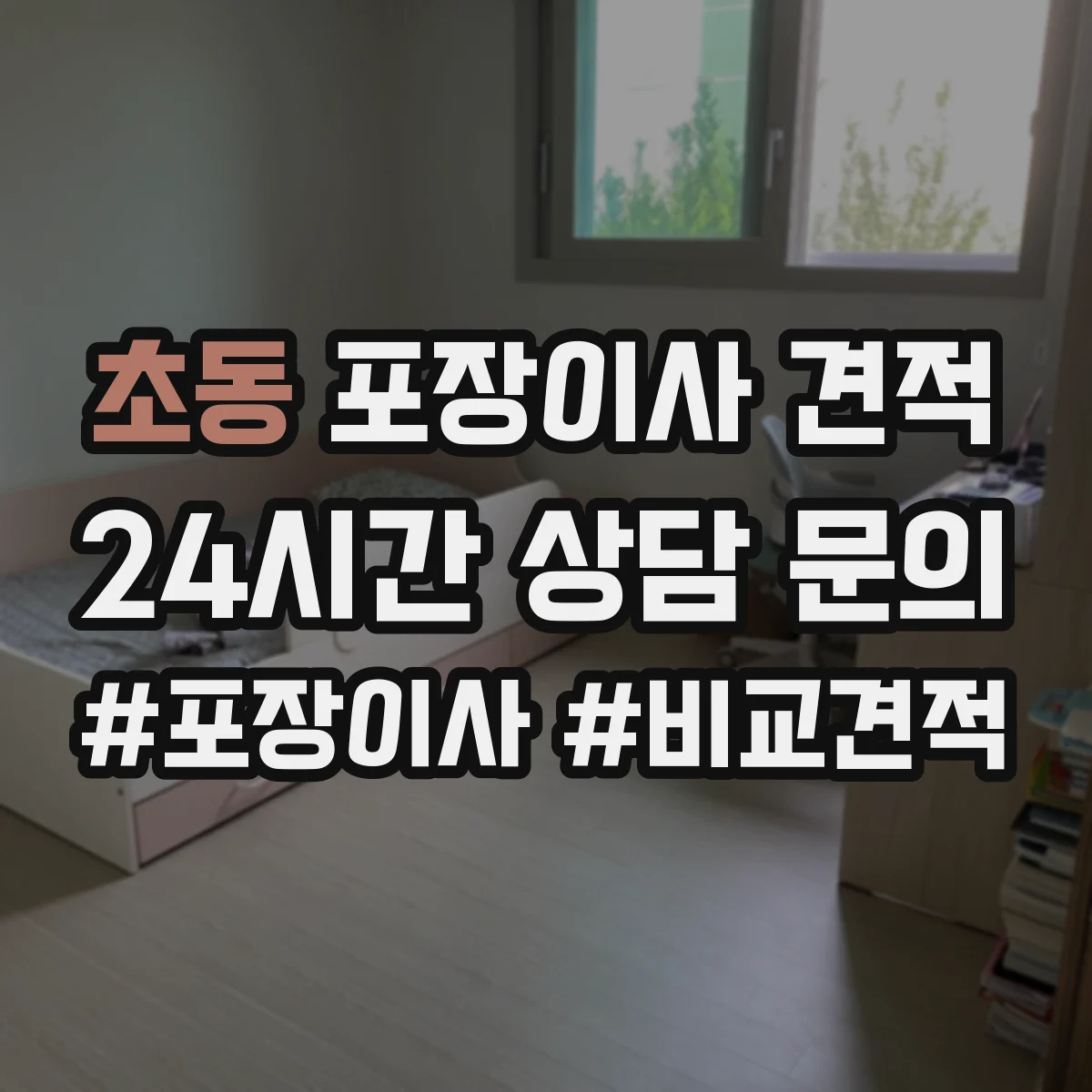 초동 포장이사 견적