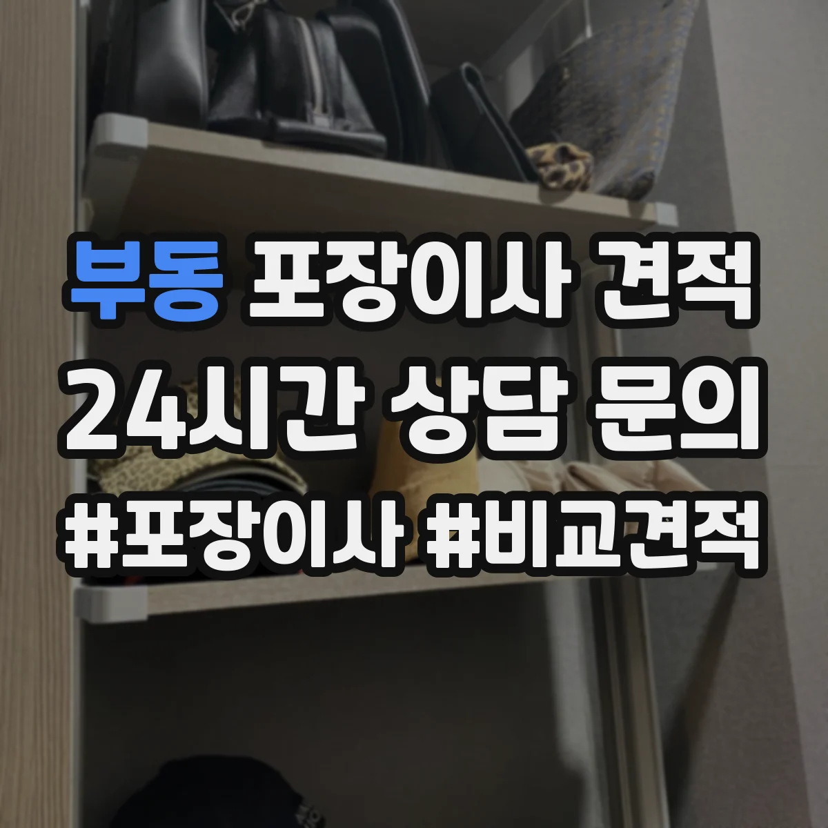 부동 포장이사 견적