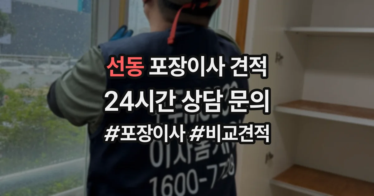 선동 포장이사 견적