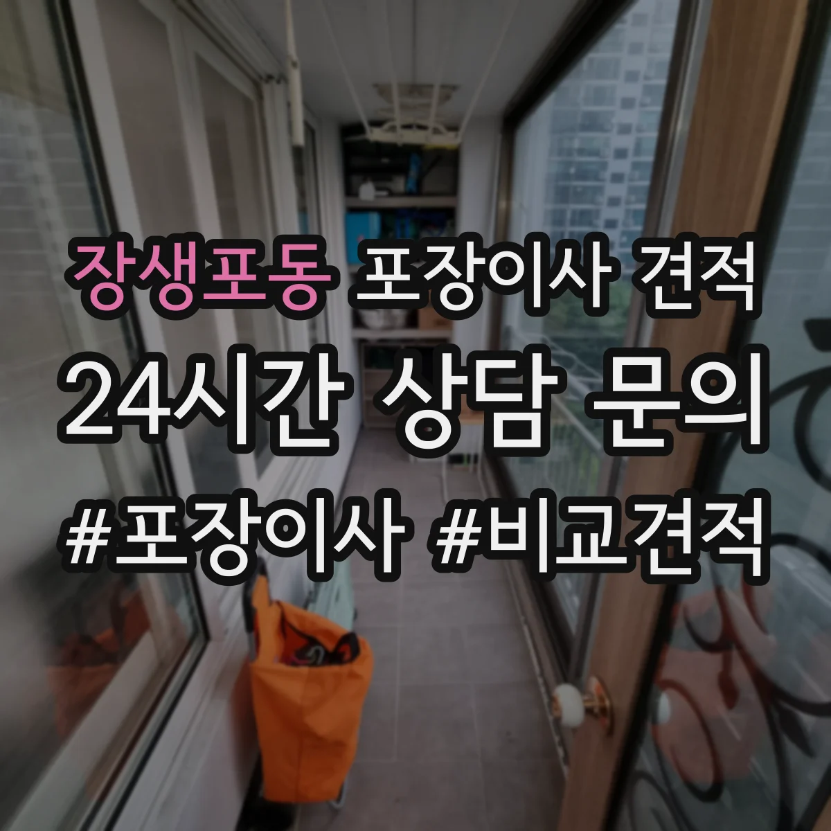 장생포동 포장이사 견적