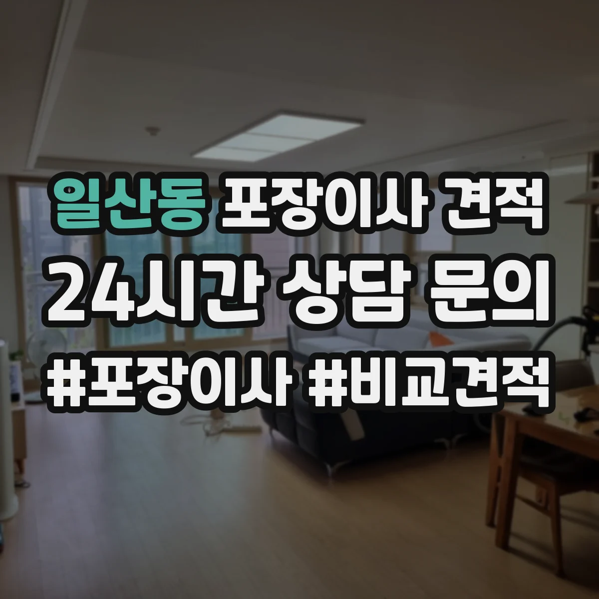 일산동 포장이사 견적