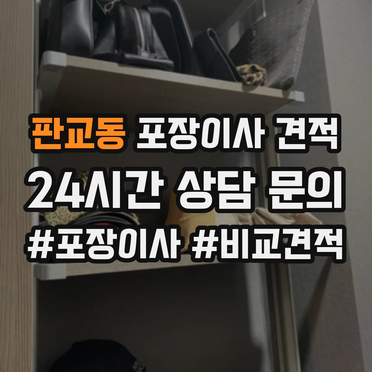 판교동 포장이사 견적