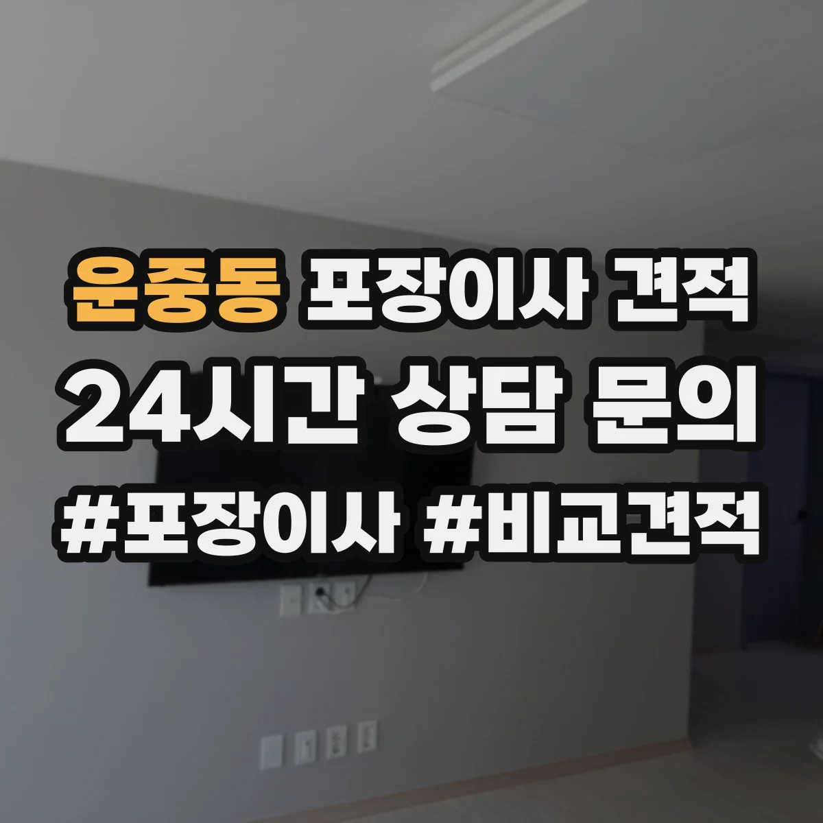운중동 포장이사 견적