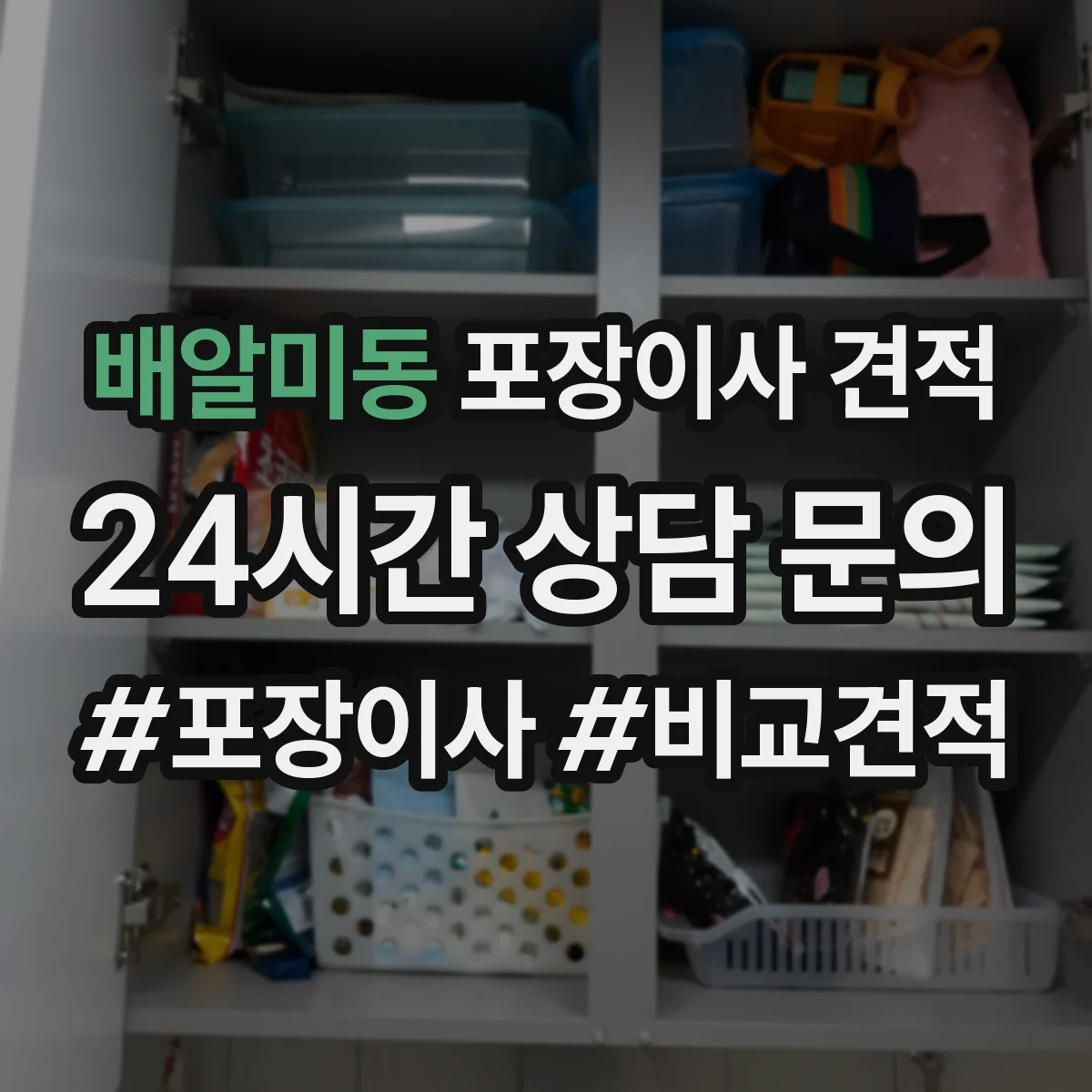 배알미동 포장이사 견적