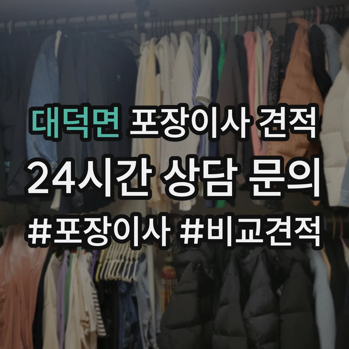 대덕면 포장이사 견적