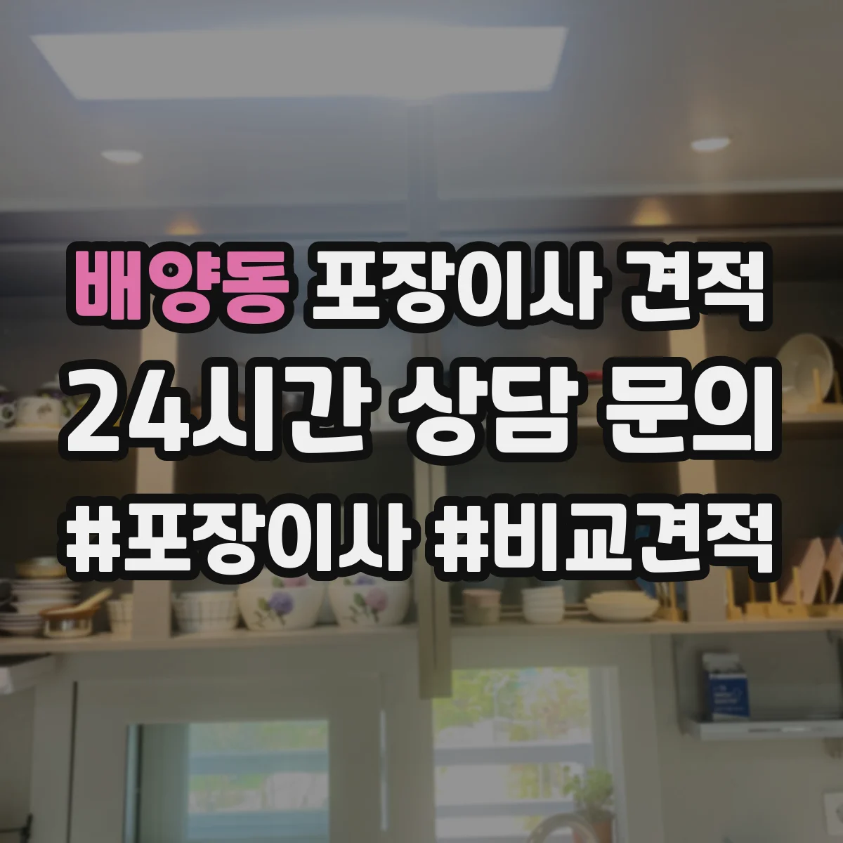 배양동 포장이사 견적