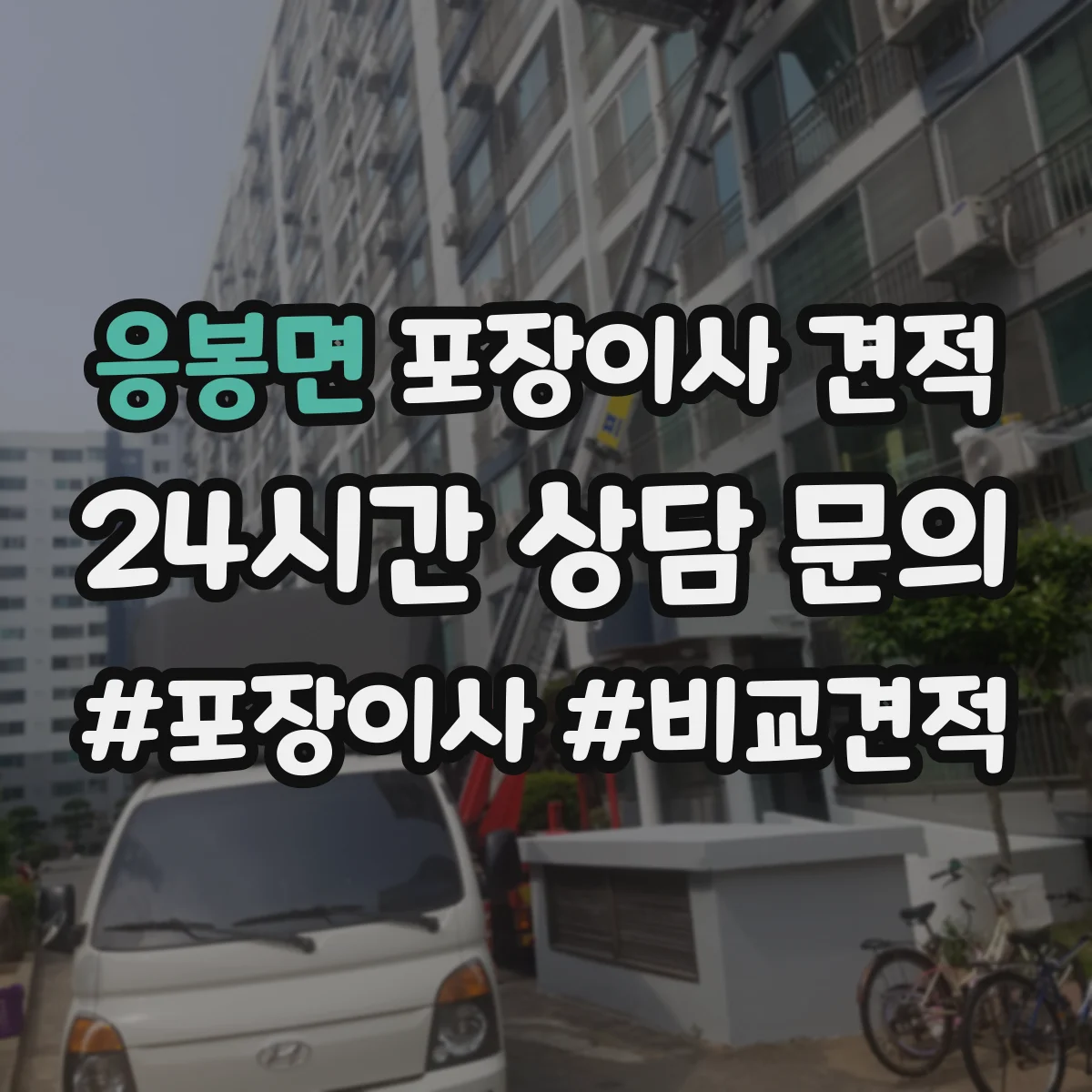 응봉면 포장이사 견적